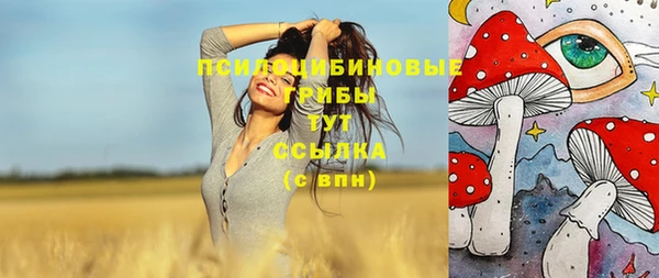 бошки Мегион