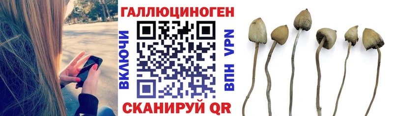 Галлюциногенные грибы Magic Shrooms  kraken сайт  Приволжск 